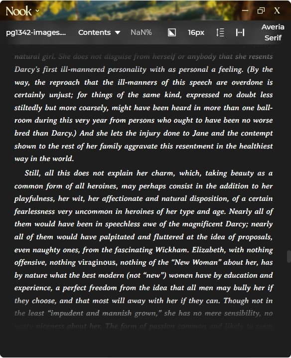 Nook reader with its reading controls and customisable document view